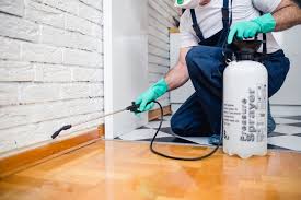 Best Pest Prevention Services  in Ash Grove, MO